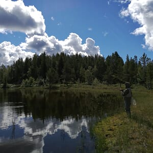 Fisketips - Områder