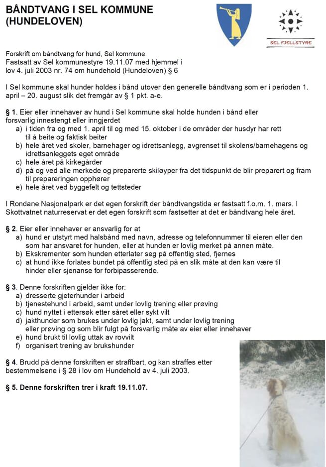 Båndtvang Sel.jpg