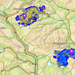 Villreinen i Rondane Nord mistet sommerbeite sitt i 2023