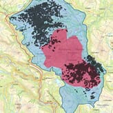 Villreinen i Rondane er under press